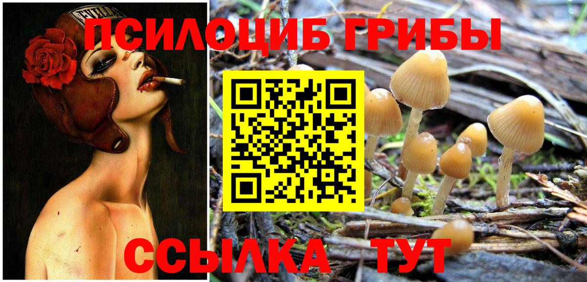 Псилоцибиновые грибы MAGIC MUSHROOMS Мирный