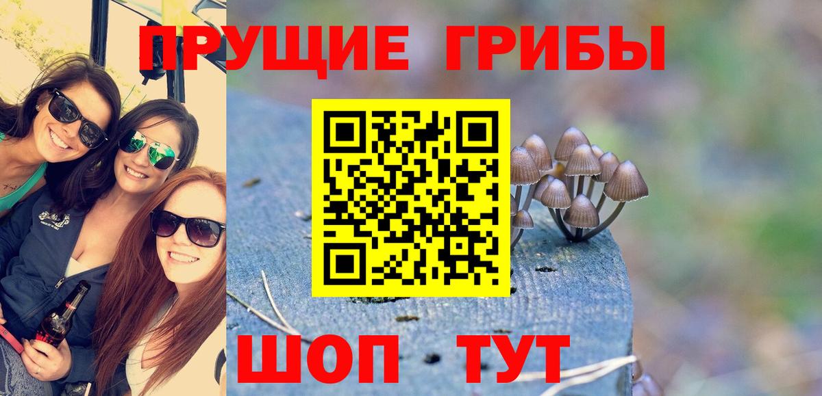 Галлюциногенные грибы MAGIC MUSHROOMS  Галлюциногенные грибы GOLDEN TEACHER  Мирный  как найти наркотики  Вход с VPN 